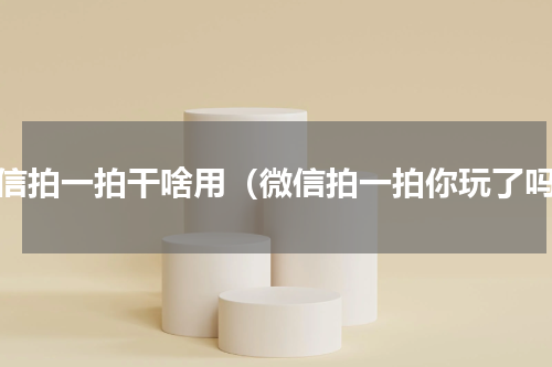 微信拍一拍干啥用（微信拍一拍你玩了吗）