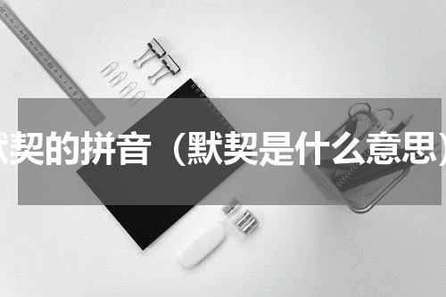 默契的拼音（默契是什么意思）