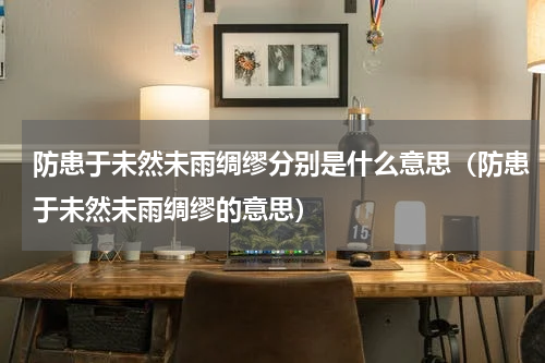 防患于未然未雨绸缪分别是什么意思（防患于未然未雨绸缪的意思）