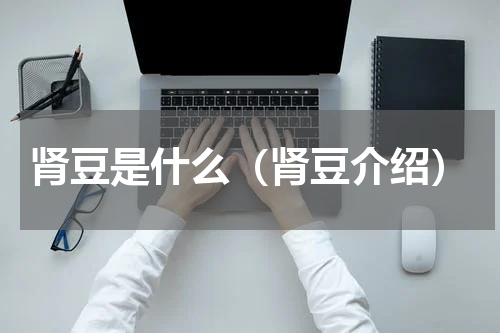 肾豆是什么（肾豆介绍）