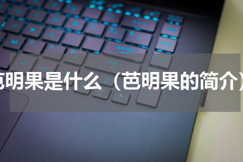 芭明果是什么（芭明果的简介）