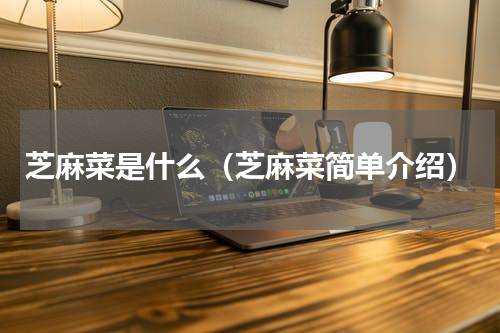 芝麻菜是什么（芝麻菜简单介绍）