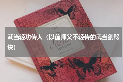 武当轻功传人（以前师父不轻传的武当剑秘诀）