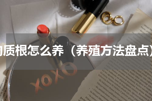 肉质根怎么养（养殖方法盘点）