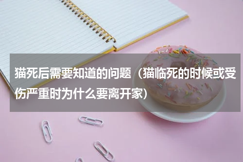猫死后需要知道的问题（猫临死的时候或受伤严重时为什么要离开家）