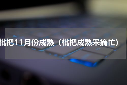 枇杷11月份成熟（枇杷成熟采摘忙）