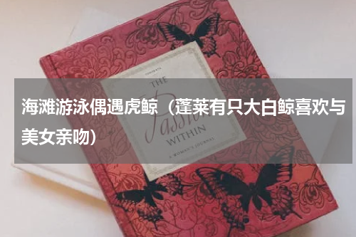 海滩游泳偶遇虎鲸（蓬莱有只大白鲸喜欢与美女亲吻）