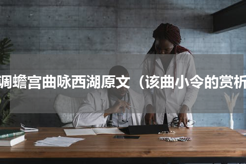 双调蟾宫曲咏西湖原文（该曲小令的赏析）