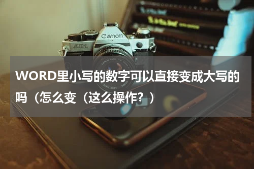 WORD里小写的数字可以直接变成大写的吗（怎么变（这么操作？）