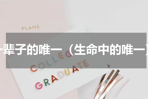 一辈子的唯一（生命中的唯一）