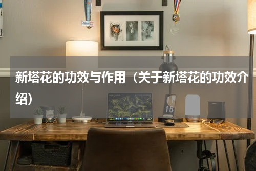 新塔花的功效与作用（关于新塔花的功效介绍）