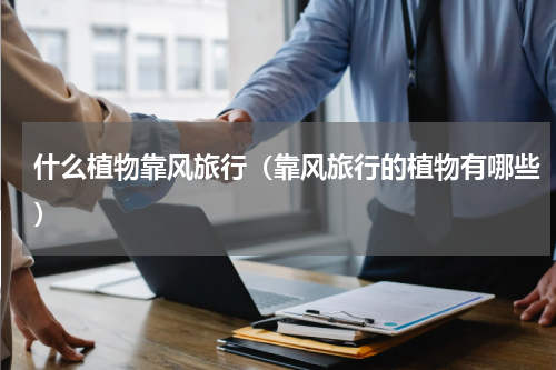 什么植物靠风旅行（靠风旅行的植物有哪些）
