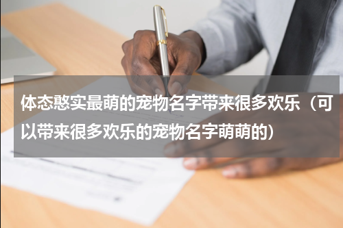 体态憨实最萌的宠物名字带来很多欢乐（可以带来很多欢乐的宠物名字萌萌的）