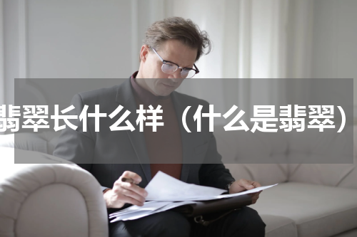 翡翠长什么样（什么是翡翠）