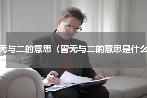曾无与二的意思（曾无与二的意思是什么）