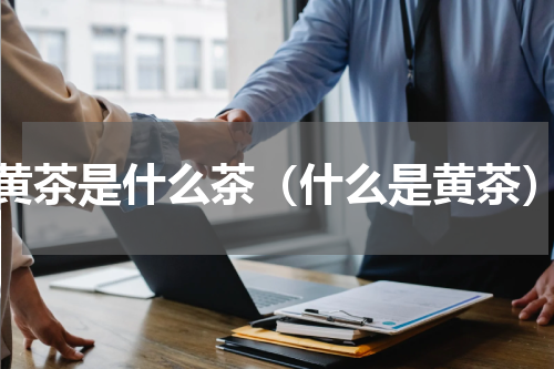 黄茶是什么茶（什么是黄茶）