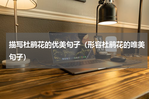 描写杜鹃花的优美句子（形容杜鹃花的唯美句子）