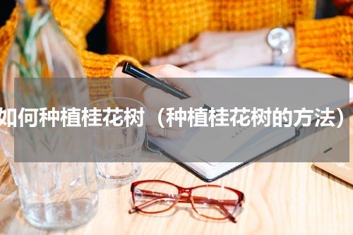 如何种植桂花树（种植桂花树的方法）