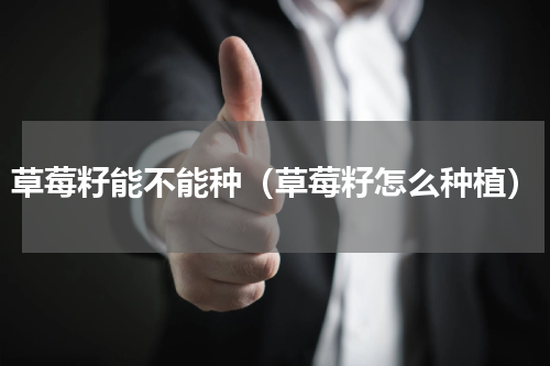 草莓籽能不能种（草莓籽怎么种植）