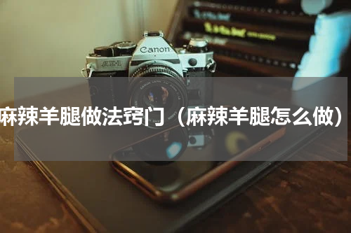 麻辣羊腿做法窍门（麻辣羊腿怎么做）