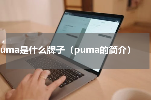 puma是什么牌子（puma的简介）