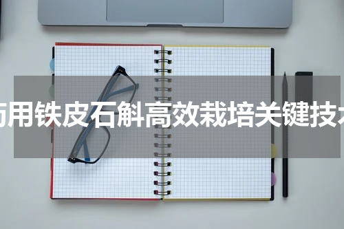 药用铁皮石斛高效栽培关键技术