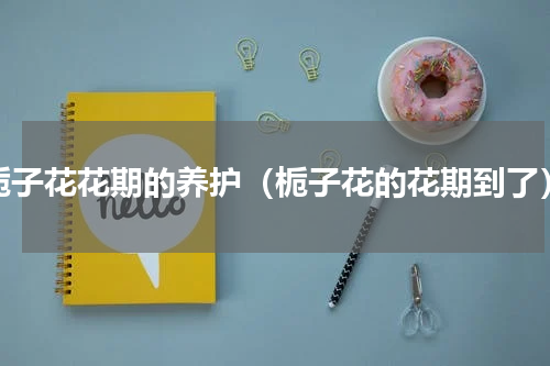 栀子花花期的养护（栀子花的花期到了）