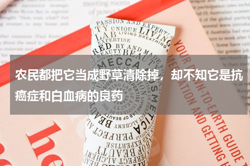 农民都把它当成野草清除掉，却不知它是抗癌症和白血病的良药
