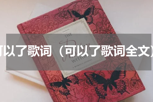 可以了歌词（可以了歌词全文）