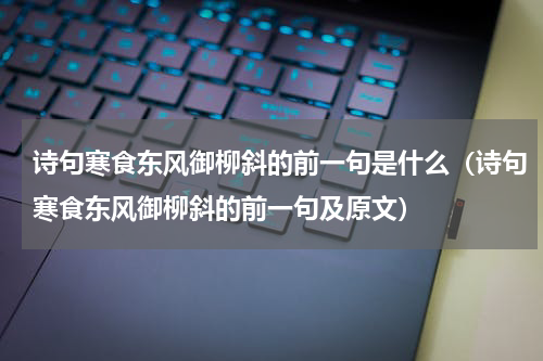 诗句寒食东风御柳斜的前一句是什么（诗句寒食东风御柳斜的前一句及原文）