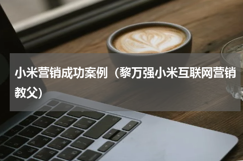 小米营销成功案例（黎万强小米互联网营销教父）