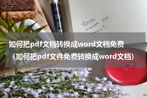 如何把pdf文档转换成word文档免费（如何把pdf文件免费转换成word文档）