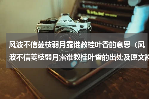 风波不信菱枝弱月露谁教桂叶香的意思（风波不信菱枝弱月露谁教桂叶香的出处及原文翻译）