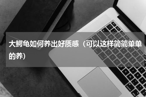 大鳄龟如何养出好质感（可以这样简简单单的养）