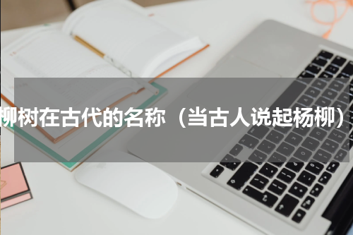 柳树在古代的名称（当古人说起杨柳）