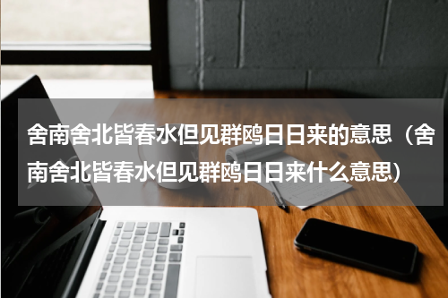 舍南舍北皆春水但见群鸥日日来的意思（舍南舍北皆春水但见群鸥日日来什么意思）