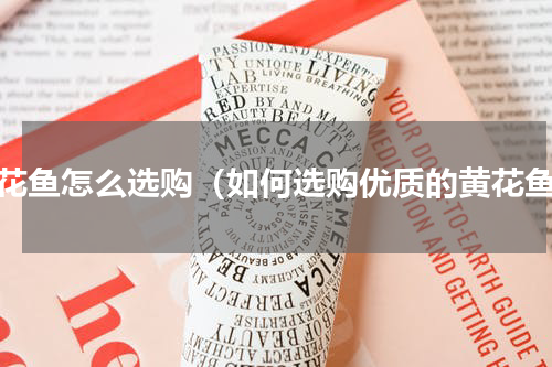 黄花鱼怎么选购（如何选购优质的黄花鱼）