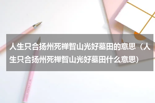 人生只合扬州死禅智山光好墓田的意思（人生只合扬州死禅智山光好墓田什么意思）