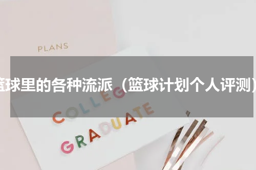 篮球里的各种流派（篮球计划个人评测）