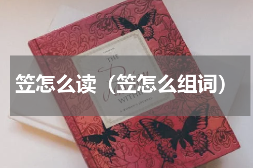 笠怎么读（笠怎么组词）