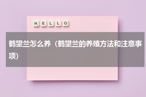 鹤望兰怎么养（鹤望兰的养殖方法和注意事项）