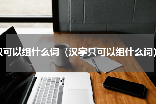 只可以组什么词（汉字只可以组什么词）