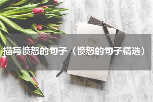 描写愤怒的句子（愤怒的句子精选）