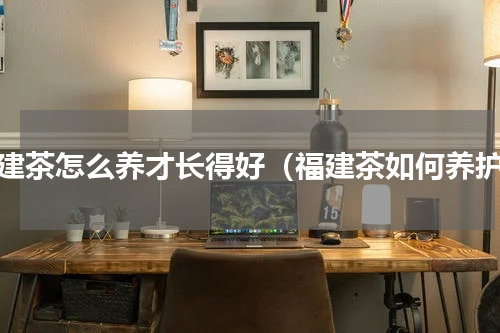 福建茶怎么养才长得好（福建茶如何养护）