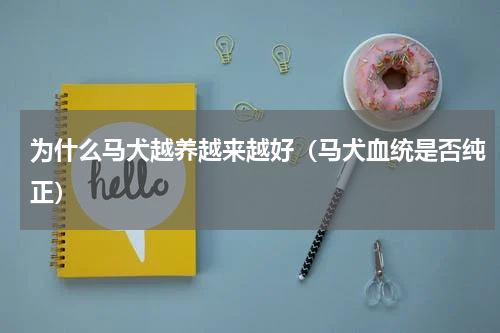 为什么马犬越养越来越好（马犬血统是否纯正）