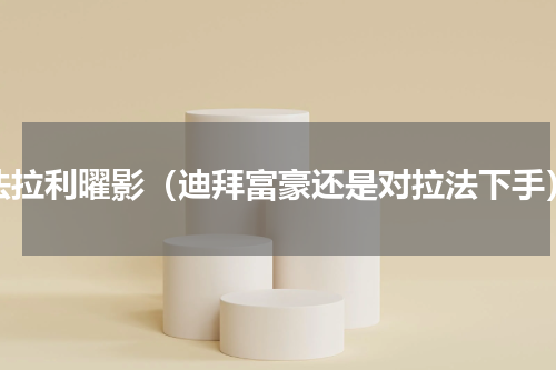 法拉利曜影（迪拜富豪还是对拉法下手）