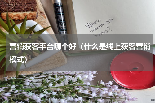 营销获客平台哪个好（什么是线上获客营销模式）