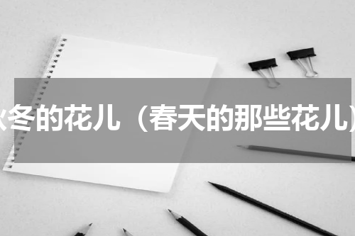 秋冬的花儿（春天的那些花儿）