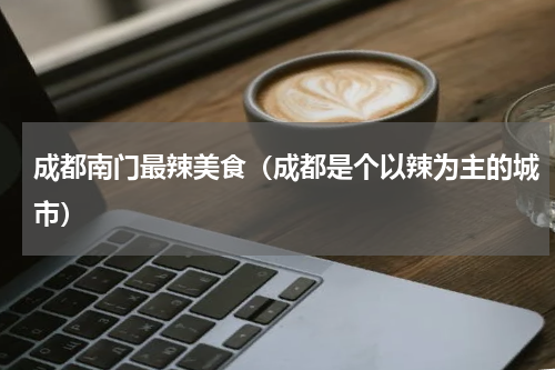 成都南门最辣美食（成都是个以辣为主的城市）