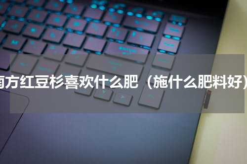 南方红豆杉喜欢什么肥（施什么肥料好）